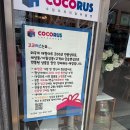 코코러스