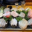 (주)평촌활어 이미지