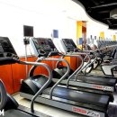 파란짐휘트니스 이미지