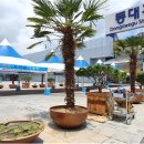 대구역광장 이미지