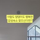 햅독 이미지