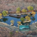 유니온파크 이미지