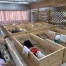 산들강농장 이미지