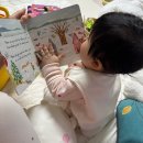 위드미영어 | 아기 영어책 후기｜싱어롱 위드미, 돌 전 영어책 괜찮을까? 이걸로 정리하세요!
