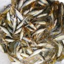 감불농장 이미지