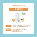 스킨스피어 이미지