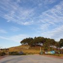 대산면공설운동장 이미지