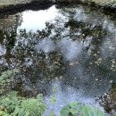 제비2리 이미지