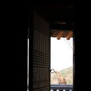 빨래터 오마이뉴스