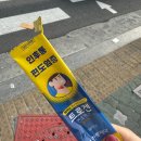 [공지] 벚꽃이 다 떨어지겠네! (4/1-15)