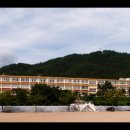 초계중학교 Daum카페