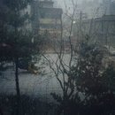 삼주물산 이미지