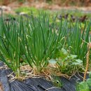 우체국길 이미지