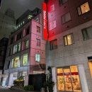 강촌힐스 | 겨울 도쿄 3박4일 일정, 경비 후기(ft.추천과 비추천 장소)