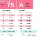 보배솔루션