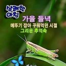 9월5일 목요일 서부경남방출석부 이미지