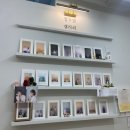 열두밤사진관 | 사진작가 아부지에게 인정받은 강남프로필사진 송리단길 열두밤사진관 추천 후기