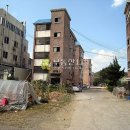 백옥대로2438번길 이미지