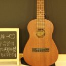 노래로 배우는 우쿨렐레 이미지