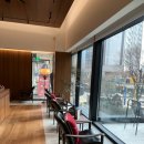 한울림도서관 | 2026년 2.1~3.14 일상 기록 - 눈이 내린다 했더니, 꽃이 피는구나.