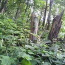 산의농장 이미지