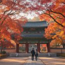 진입로 | 경주 불국사 단풍, 석굴암 진입로 실제 후기