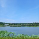다람산근린공원 인라인스케이트장 | 안산 화랑유원지(호수,잔디광장,인라인스케이트장,경기도미술관)