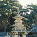 불국사 Daum카페