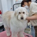 쁘리에숑 이미지