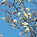 뉴설악펜션 이미지