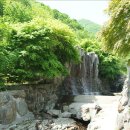 팔영산 자연휴양림 야영장 이미지