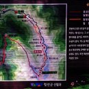 우숲 이미지