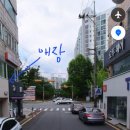 마카롱판다 | 📍대전 유성구 | 수제 마카롱 전문점 곰아빠, 두쫀쿠 아쫀쿠 후기