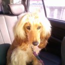 거산동물병원 이미지