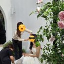 이클립스스튜디오 | W30. 웨딩 스튜디오 촬영 전 꼭 읽어야 할 후기 | 후회한 점 &amp; 준비 체크리스트