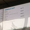 물속풍경수족관 | [한 달 살기 in Vancouver] "돈값 할까?" 밴쿠버 수족관 솔직 후기 &amp; 스탠리 파크 겨울 산책