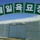 제일육묘장 이미지