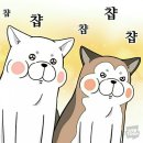 카페스탠포드 이미지