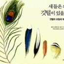 분포초등학교 이미지