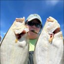 광어생각 이미지