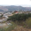 숲속정원펜션