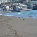 유람선선착장 앞 이미지