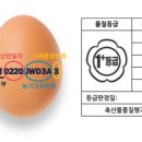 1·2·3·4 이미지