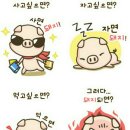 즐거우면돼지