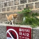 용호민박 | 미묘한