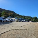 황소목장 | 부산근교 아기랑 동물 먹이체험 가능한 울산하늘목장 (2회차)