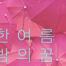 꿀같은밤 네이버블로그