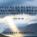 새일목장 Daum카페