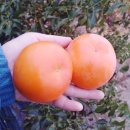 박현순 농장 이미지