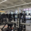 하이샐러드 이미지